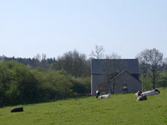 uitzicht op weiden en bossen